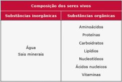Substancias Organicas e Inorganicas.jpg