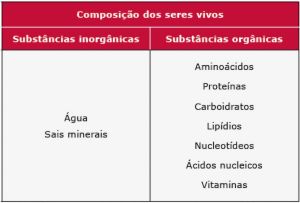 Substancias Organicas e Inorganicas.jpg