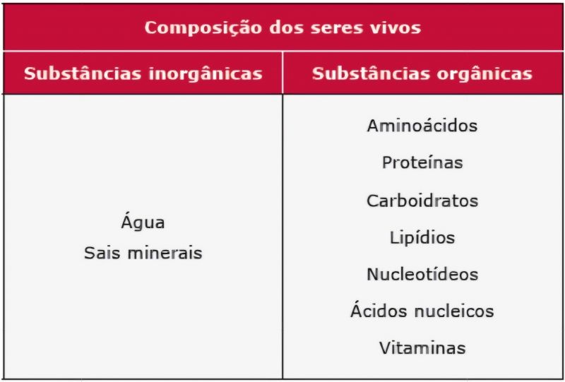 Arquivo:Substancias Organicas e Inorganicas.jpg