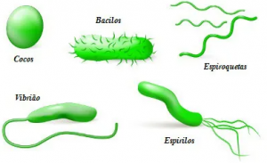 Captura de tela 2024-08-26 195247.png