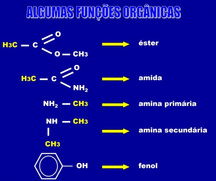 Arquivo:Funções 2.jpg