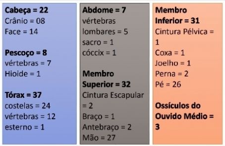 Divisão dos Ossos.jpg