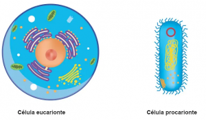 Captura de tela 2024-08-11 095445.png