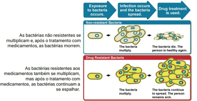 Arquivo:Bacterias.png