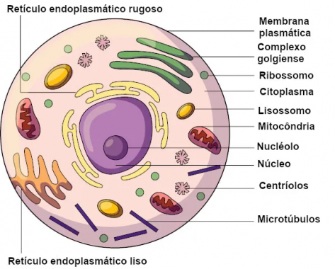 Captura de tela 2024-08-11 095757.png