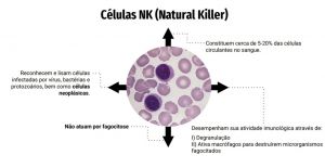 Células NK.jpg