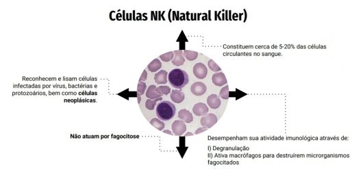Células NK.jpg