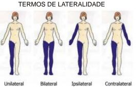 Notes 241112 065929 856.jpg