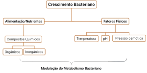 Crescimento Bacteriano.png