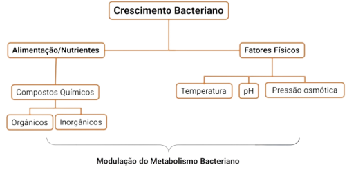 Crescimento Bacteriano.png