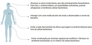 Ação do antimicrobianos.jpg