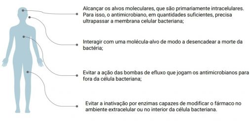 Ação do antimicrobianos.jpg