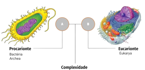 Classificaçao Celular.png