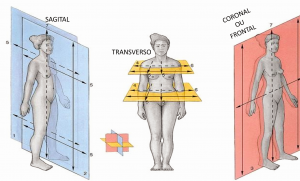 Notes 241112 145229 327.png