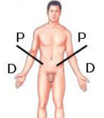 Notes 241112 065922 9f5.png